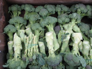 brokoli nakon berbe